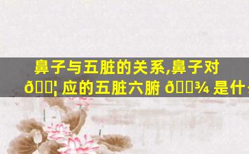 鼻子与五脏的关系,鼻子对 🐦 应的五脏六腑 🌾 是什么